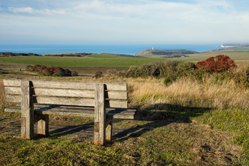 Empty wooden bench facing english countryside