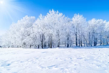 Deurstickers Winter snowy tree
