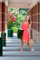 Woman Shopping Bags