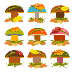 Mushroom Set Illustration Isolated on White Background