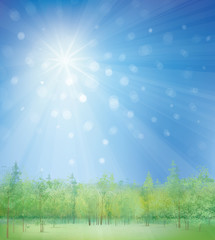 Obraz premium Vector nature landscape.