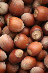 hazelnuts on a table
