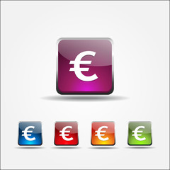 Euro Sign Vector Icon Button