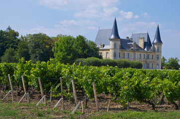 Fototapeta na wymiar Bordeaux zamki