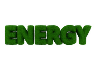 Grass Energy word isolated on white background