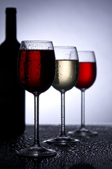 Weinglaeser im Gegenlicht