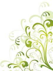 floral,grün,frühling,rahmen,filigran,deko,dekor,dekoration