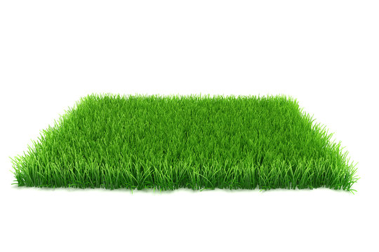Fake Grass Images – Browse 12,290 Stock Photos, Vectors, and Video | Adobe  Stock