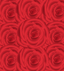 wallpaper pattern with of  red roses on white background