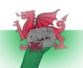 Fist wrapped in the flag of Wales