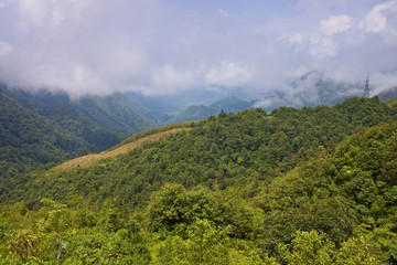 Fototapeta na wymiar View to the jungle in Vietnam near Sapa