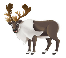 Cartoon animal - illustration for the children