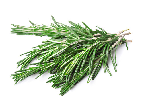 Twigs of rosemary