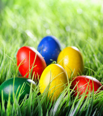 Easter eggs on green grass