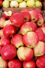 Red farm apples on the market