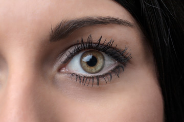 Obraz premium female eye