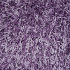 Purple carpet
