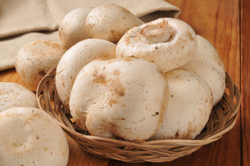 Mushrooms in a basket