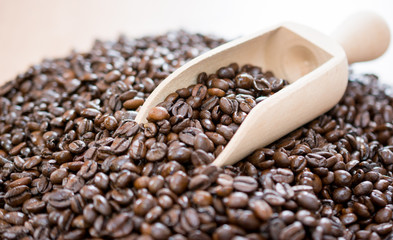 Roasted coffee beans