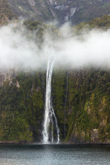 Fototapeta premium Fjord of Milford Sound in New Zealand