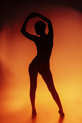 Erotic silhouette