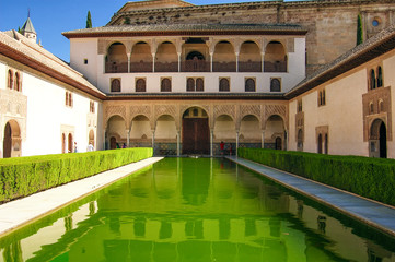 Fototapeta premium landscape in Alhambra, courtyard with green water