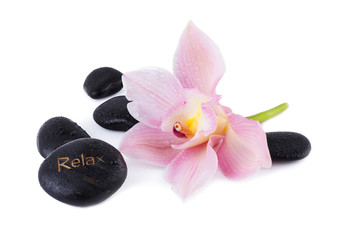 Obraz na płótnie Canvas Spa Concept, Orchid with zen stone isolated on white