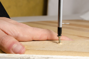 screwdriver adjusting screw On Foreground