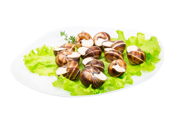 Escargot
