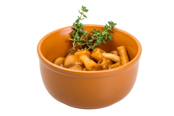 Armillaria