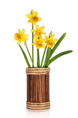 Beautiful Yellow Daffodils flowers in vase