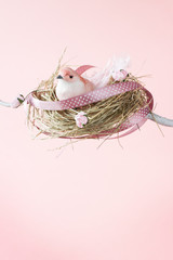 Easter or spring pink background - bird nest on twig