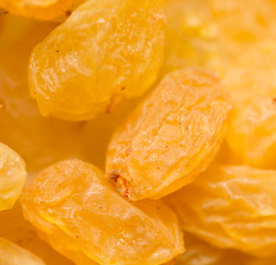 background of yellow raisins. macro