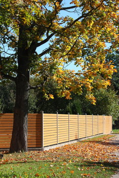 Wooden fence in the coutryside