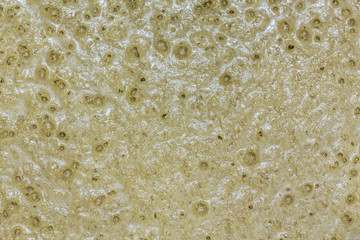 Mash of barley fermenting in barrel
