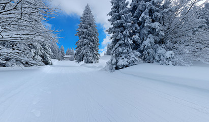 snowy winter landscape in black forest germany