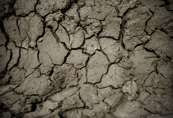 dry land