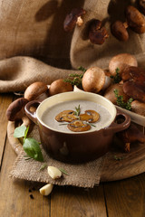 Composition with mushroom soup in pot, fresh and dried