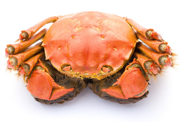top view cooked crab on a white background