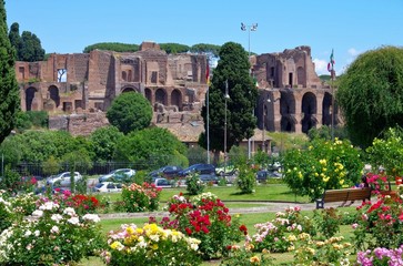 Obraz premium Rom Terme di Massenzio - Rome Terme di Massenzio 04