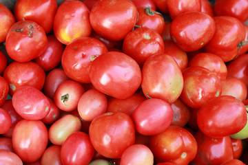 fresh tomatoes in the market