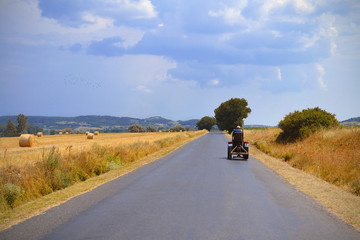 Road in summer
