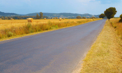 Naklejka premium Road in summer