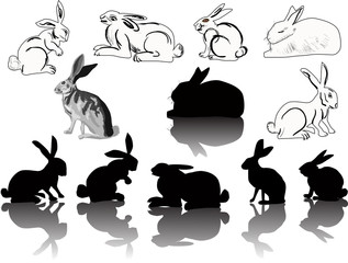 twelve hare and rabbit silhouettes on white