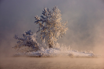 an island in the fog
