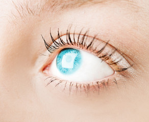 Macro image of human eye