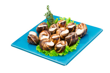 Escargot