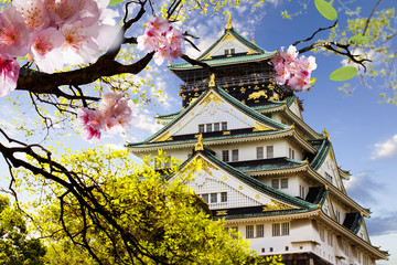 Fototapeta premium Zamek Osaka w Osace w Japonii do celów reklamowych lub innych