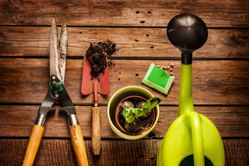 Gardening tools on vintage wooden table - spring