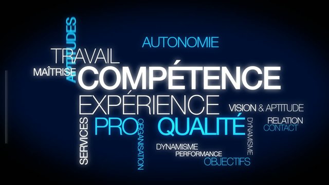 Comp&eacute;tence exp&eacute;rience professionnelle emploi nuage de mots video